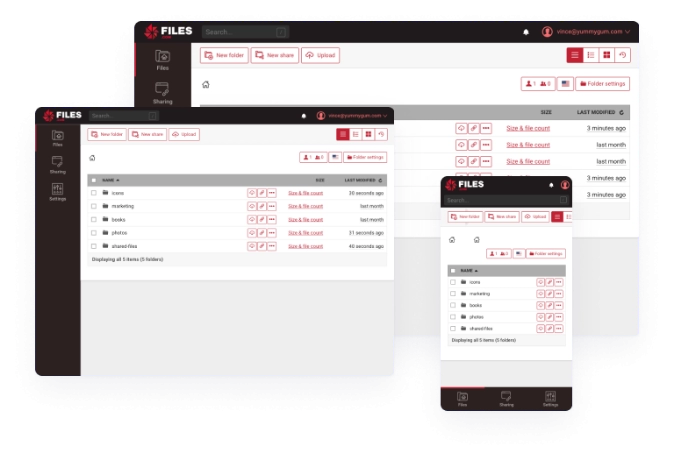 Secure File Transfer Windows Linux